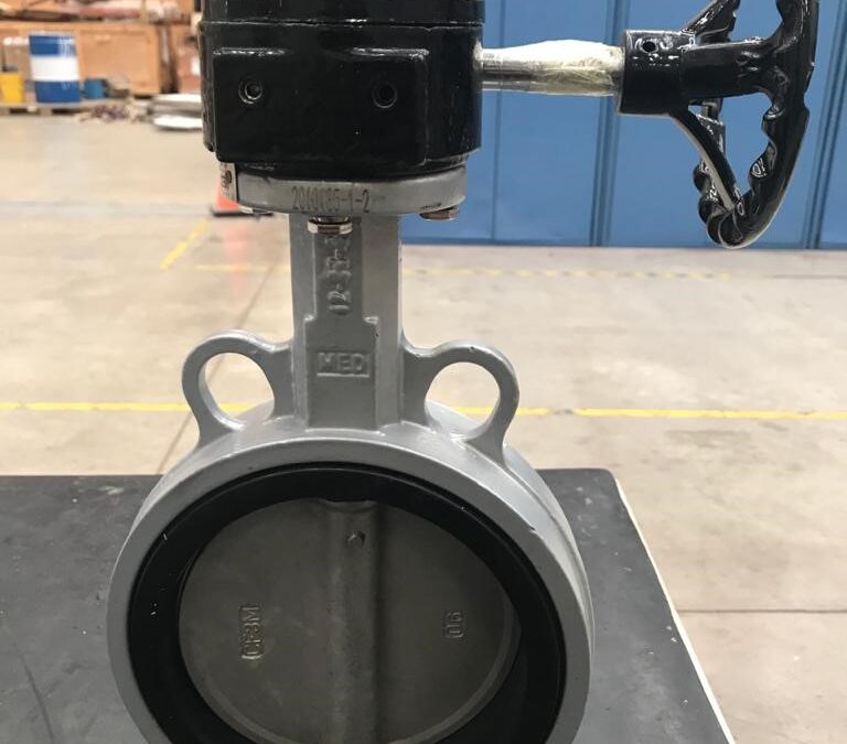 T-293 6 “-150 # Butterfly Valves for CFE Michoacan